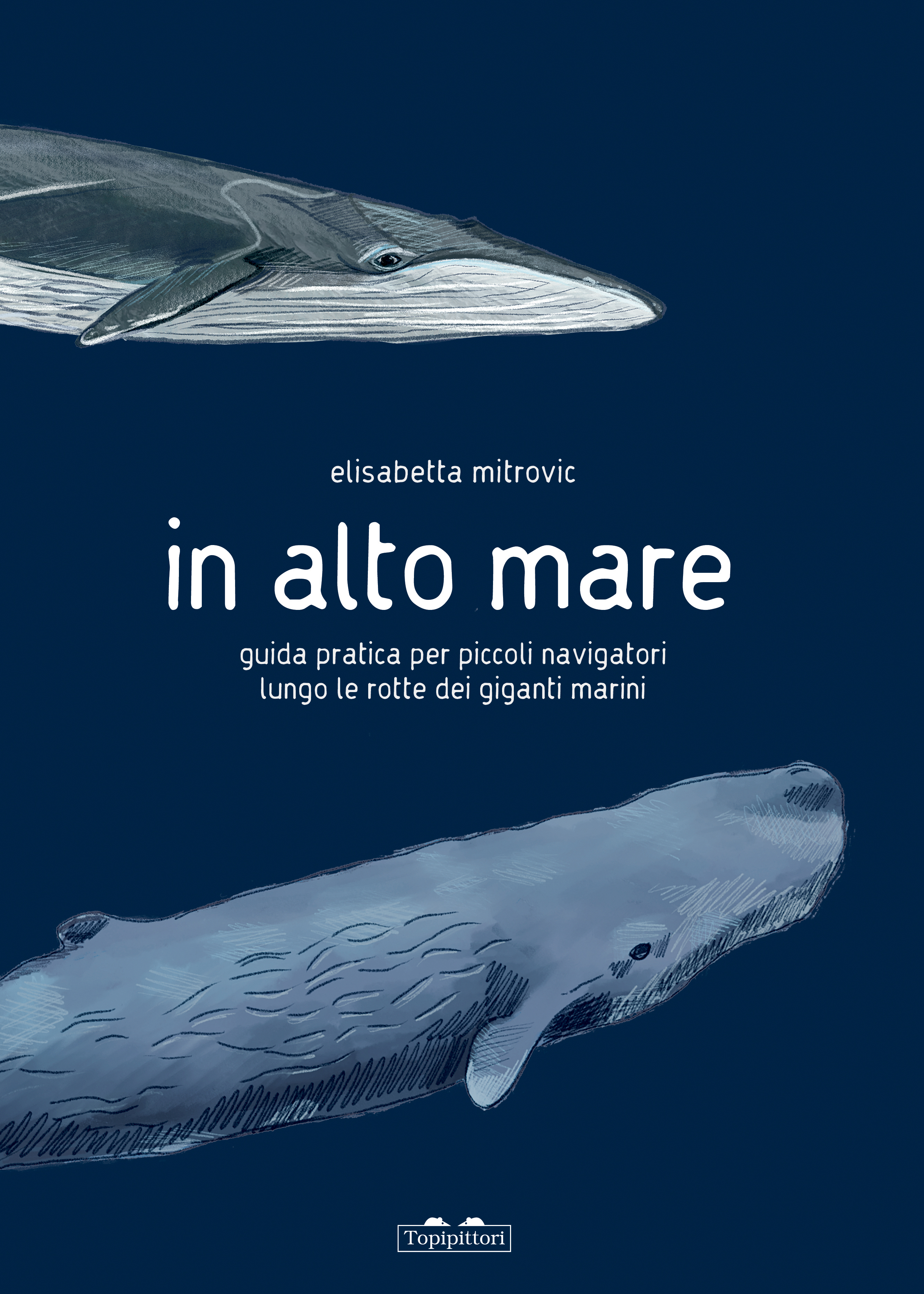 In Alto Mare Topipittori in-alto-mare-topipittori